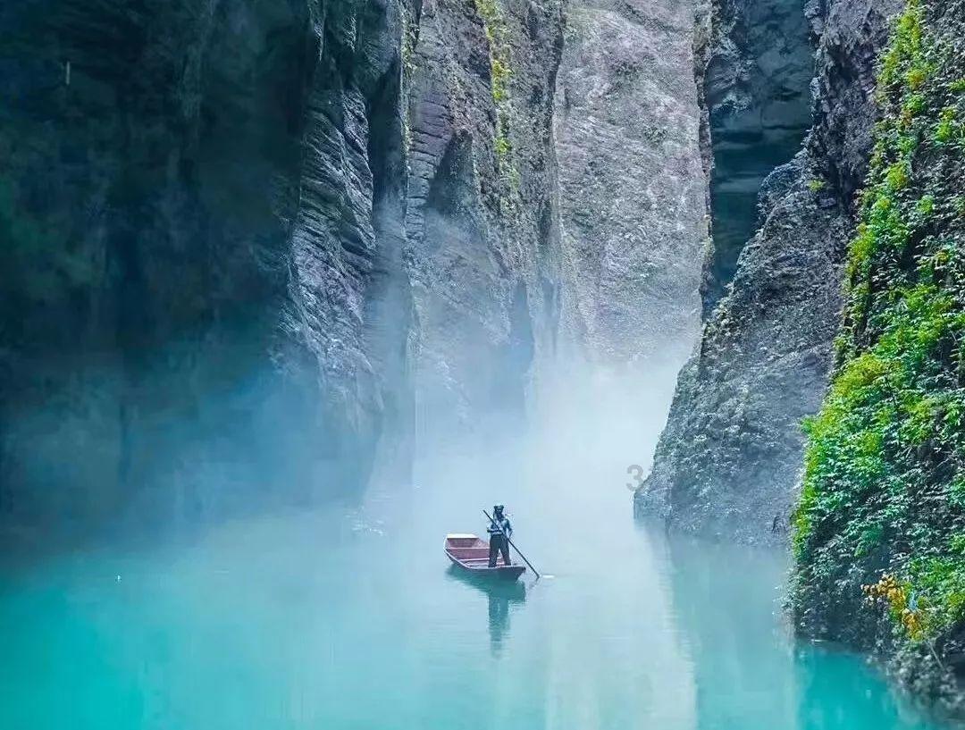 缤纷水果茶